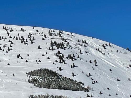 a group of birds on a snow covered mountain at Petit appartement Labellisé Les 2 Alpes résidence Arc en Ciel télésiège Petite Aiguille in Les Deux Alpes