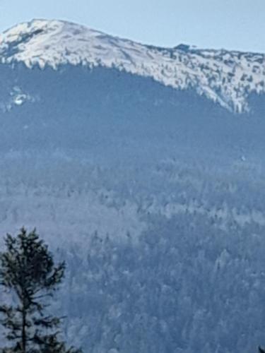 ホームステイから撮影された、または一般的な山の景色