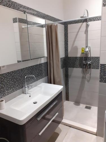 a bathroom with a sink and a shower at un site calme et unique au Montenegro Loue des logements les pieds dans l eau avec plage privée en face de l ile Saint Marco in Tivat