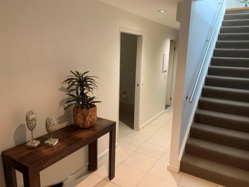 a hallway with stairs and a potted plant on a table at Wyndham Resort Torquay in Torquay