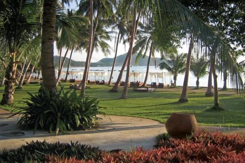 a park with palm trees and a body of water at Koh Tao Cabana in Koh Tao