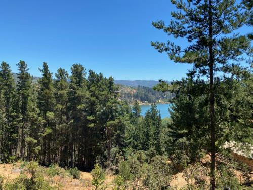 a view of a lake through the trees at Cabaña El Mirador de Vichuquén in Vichuquén