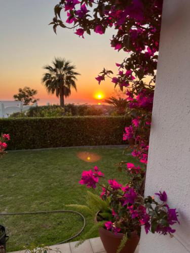 a view of a sunset from a yard with pink flowers at Poggio Aragosta Hotel & Spa in Ischia