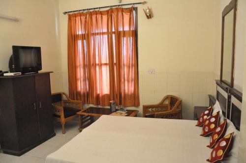 a bedroom with a large bed and a television at Hotel Surya Palace in Chandīgarh