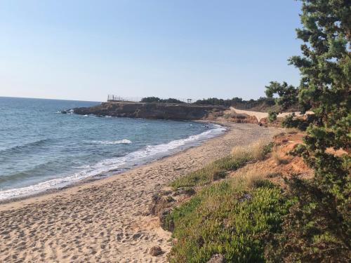 a sandy beach with trees and the ocean at Artemis House in Artemida