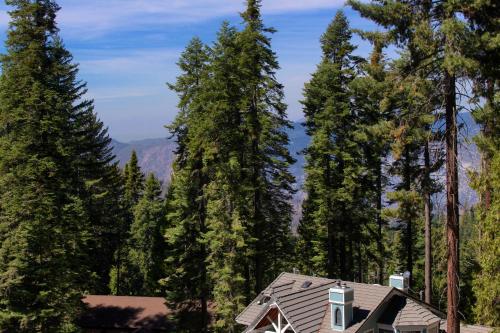 a house in the middle of a forest of trees at YoBee! Park Reservation Included! Heart of Yosemite - Homey Studios and Breakfast in Yosemite West