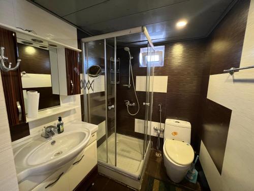 a bathroom with a shower and a toilet and a sink at Riva Seaside House in Lankaran