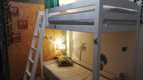 sypialnia z łóżkiem piętrowym i drabiną w obiekcie Gîte cosy la Mosaïque, à Selles-sur-Cher, 15 mn du zoo Beauval w mieście Selles-sur-Cher