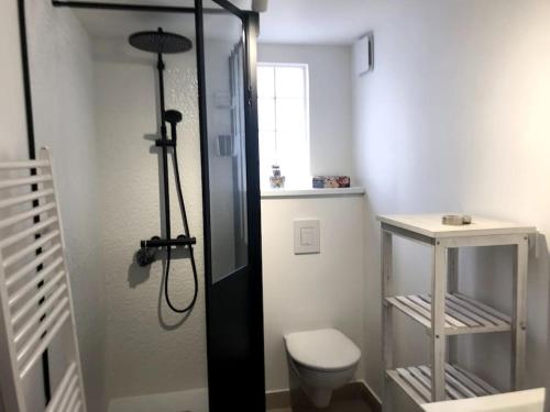 une petite salle de bain avec toilettes et douche dans l'établissement Le Petit Cote Ouest - appt dans les Pins près de la plage, à Les Sables-dʼOlonne