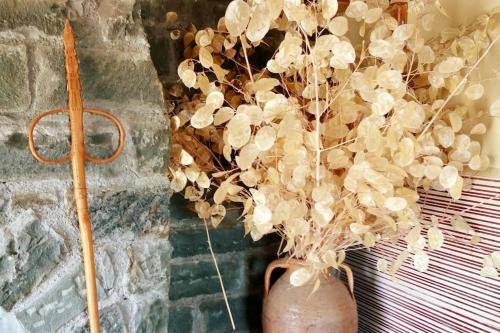un jarrón con una planta al lado de una pared en Anogeio - Traditional house in Tikhion en Tíkhion