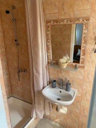 y baño con lavabo y ducha. en Casa Donau Delta, en Sulina