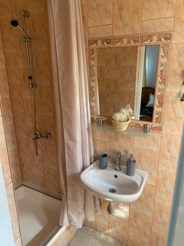a bathroom with a sink and a shower at Casa Donau Delta in Sulina