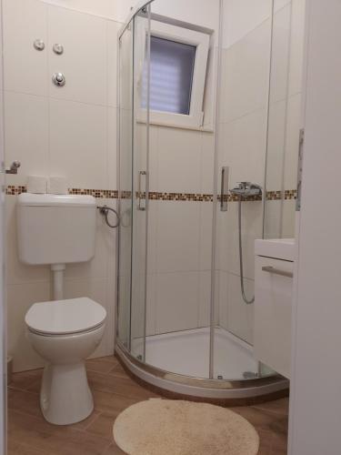 uma casa de banho com um WC e uma cabina de duche em vidro. em Apartman Šime em Pakoštane