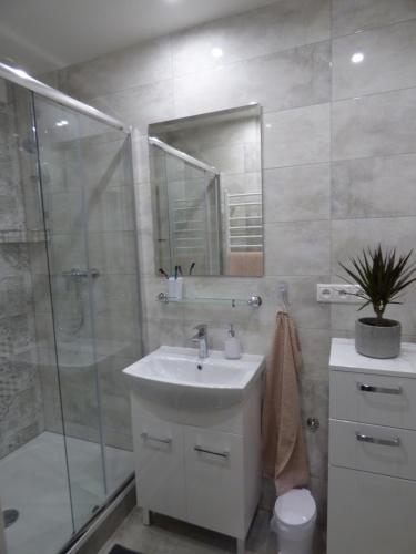 Ένα μπάνιο στο Apartmán Dolinky