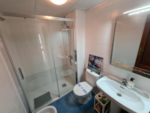 a bathroom with a shower and a toilet and a sink at Espacioso apartamento con impresionantes vistas y garaje privado - Dos Torres Tauriel in Zaragoza