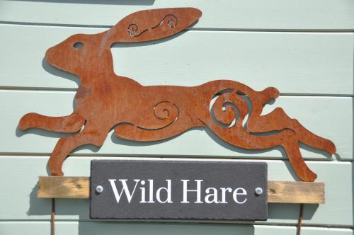 Wild Hare – Photos 3