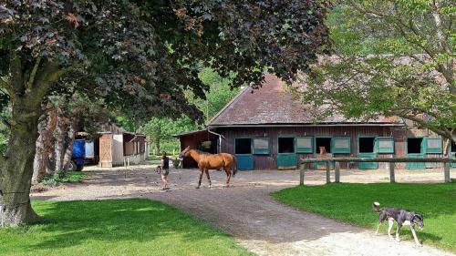 a person walking a horse in front of a building at Mühle in der Pferdewelt Reichenau in Reichenau