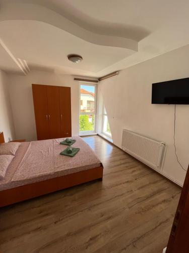 TV a/nebo společenská místnost v ubytování Vila Nei