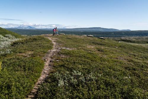 two people standing on top of a grassy hill at Funäs Ski Lodge in Funäsdalen