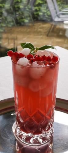 a drink with ice and pomegranates in a glass at Acron-Hotel Quedlinburg in Quedlinburg