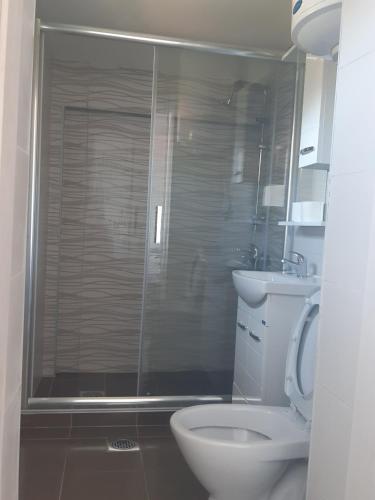 a bathroom with a shower with a toilet and a sink at Apartments Stefan Trpejca in Ohrid