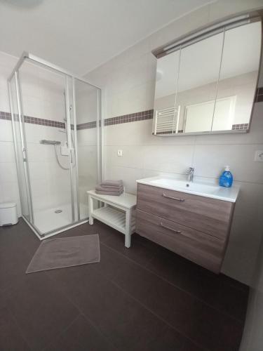 W łazience znajduje się umywalka i prysznic. w obiekcie Gästewohnung Meyer w mieście Seehausen