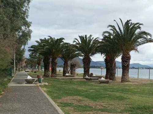 a row of palm trees in a park next to the water at Aegean Sea Home in Nea Makri