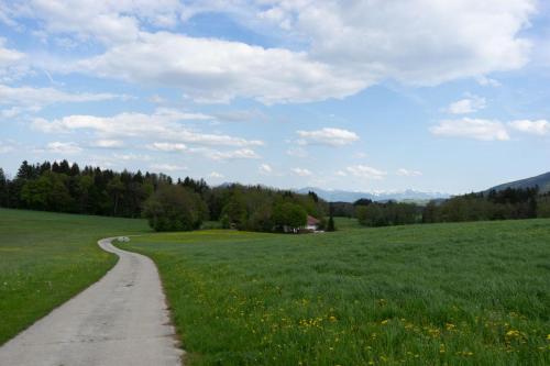 a dirt road in a field with grass and flowers at Ferienwohnung mit großem Panoramafenster in Teisendorf