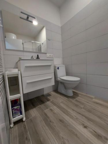 ein Bad mit einem WC und einem Waschbecken in der Unterkunft Apartman Nora in Ubli