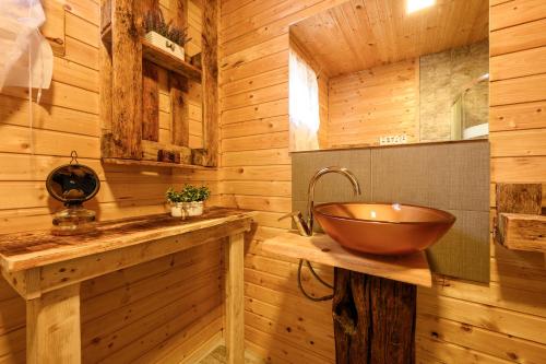 a bathroom with a bowl sink and wooden walls at Etno house Molendini in Rakovica