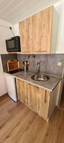 eine Küchentheke mit einer Spüle und einer Mikrowelle in der Unterkunft Appartement Puy-Saint-Vincent in Puy-Saint-Vincent