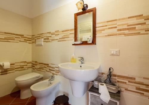a bathroom with a sink and a toilet and a mirror at Agriturismo Radici Irpine in Rocca San Felice