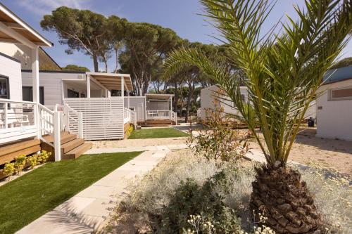 Foto dalla galleria di Anxur Village Camping a Terracina