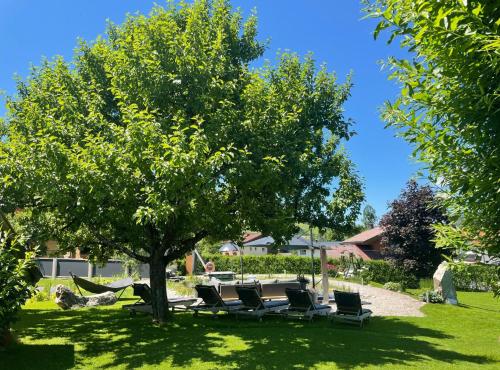 a group of chairs sitting under a tree at THE MATTHEW - Copper Lodge in Wagrain