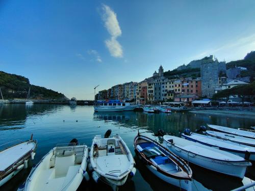 a group of boats are docked in a harbor at Byron Guest House in Portovenere