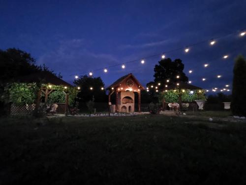 a house with christmas lights on it at night at Pensiunea Elena in Criţ
