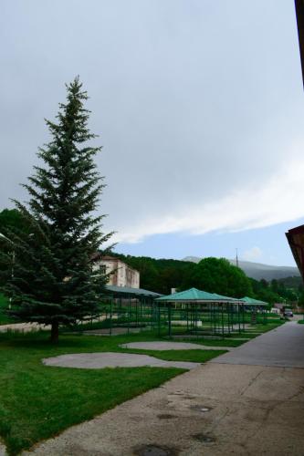 a park with a pine tree and a tent at Aliq hotel in Tsaghkadzor