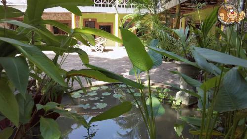 a pond in a garden with green plants at Kep Melting Potes in Kep