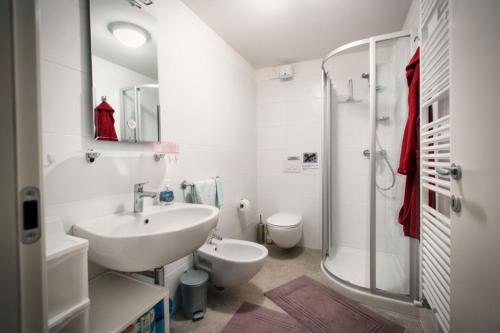 La salle de bains est pourvue d'un lavabo, de toilettes et d'une douche. dans l'établissement La Marmote Albergo Diffuso di Paluzza Rio Bavous, à Paluzza