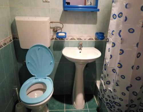 een kleine badkamer met een toilet en een wastafel bij Cosy apartment in Budva