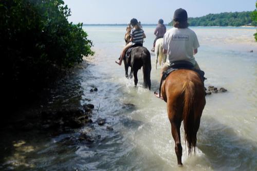 a group of people riding horses through the water at Aoredise in Luganville