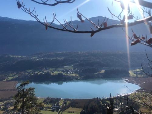 a view of a lake from a tree branch at Bungalow Fritz in Presseggen