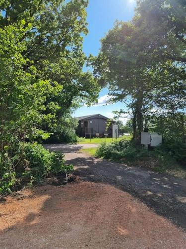 a dirt road with trees and a building in the background at Shepherds Hut at Cummins Farm, Lyme Regis in Bridport