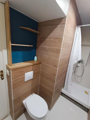 une petite salle de bain avec toilettes et douche dans l'établissement Tournan en Brie, centre ville, superbe appartement, à Tournan-en-Brie