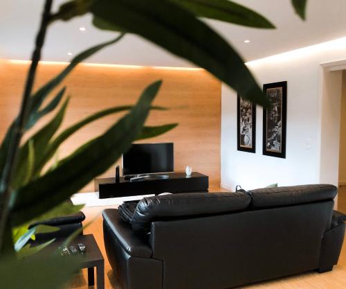 a living room with a black couch and a television at Alojamento Encantador no Centro de Ponta Delgada in Ponta Delgada