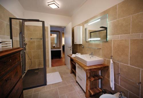 a bathroom with a sink and a shower at La Marmote Albergo Diffuso di Paluzza Testeons Nord in Paluzza
