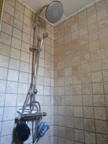 een douche met een douchekop in de badkamer bij Maisonnette Zen in Varages