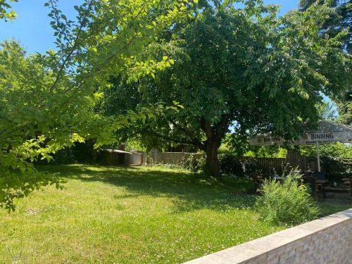 a tree in a grassy area with a bench under it at Heiligenröder Pension in Niestetal