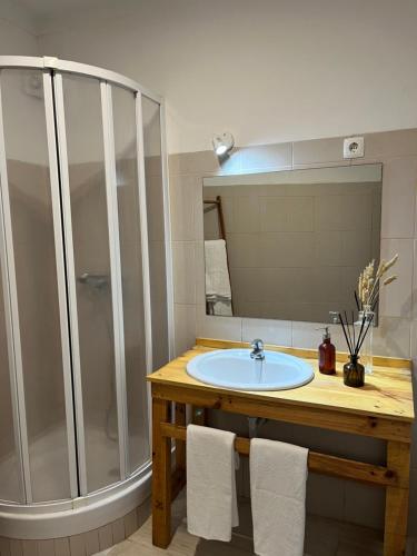 een badkamer met een wastafel en een douche bij Fisherman´s Cave in Faro
