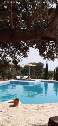 La alberca dentro o cerca de Riad Douar Des Oliviers